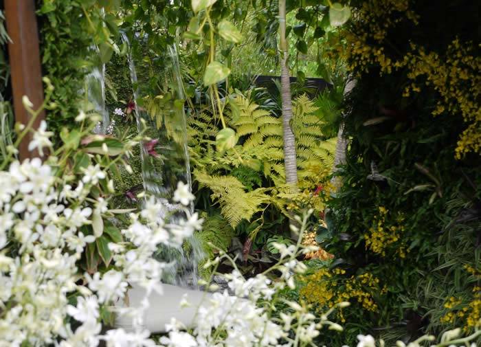 The Singapore Garden at RHS Chelsea 2015 