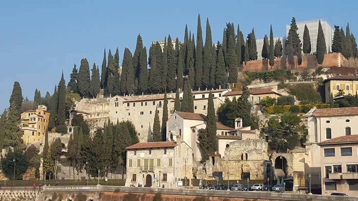 Pencil or Tuscan Cypress trees used to dramatic and elegant effect here in their native Italy