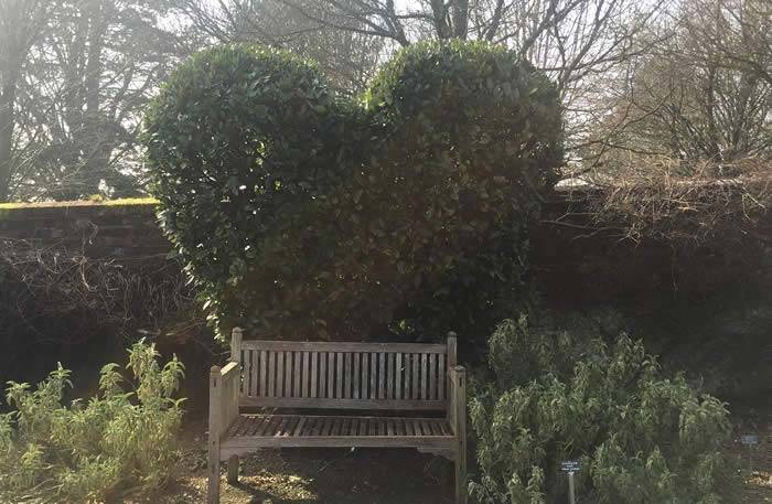 Garden Inspiration Ideas – heart shaped topiary bay trees