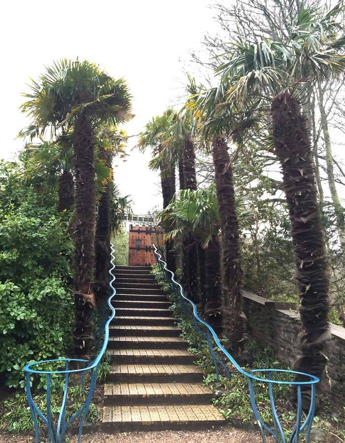 An avenue of Chusan Palms at the entrance of Overbeck's Gardens