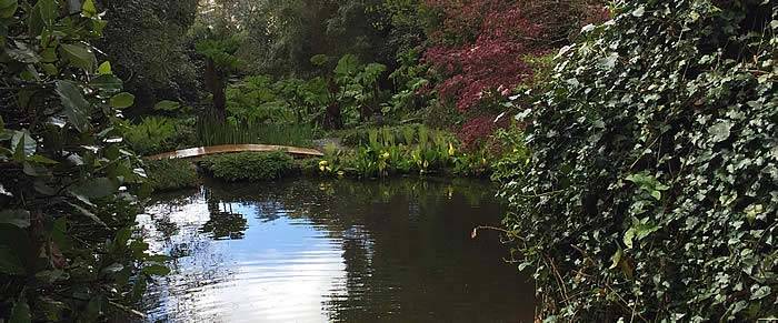 Japenese inspired garden at Kerdalo