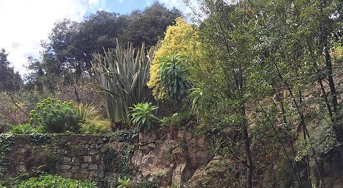 The terraces at Kerdalo have a tropical feel