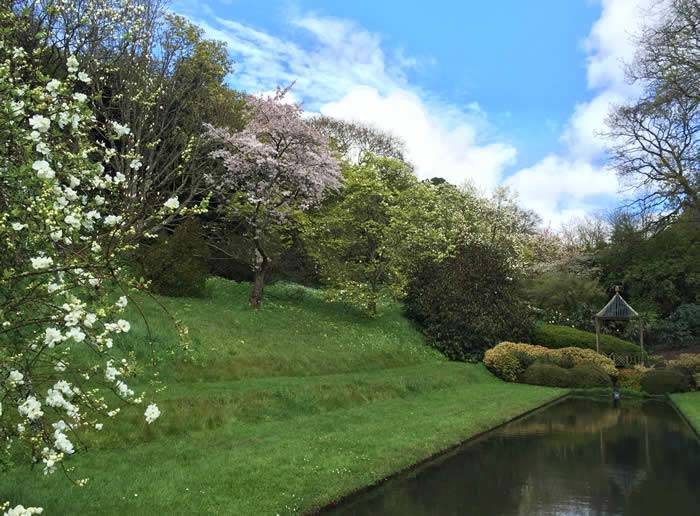 The canal room complete with pagoda and decorative trees