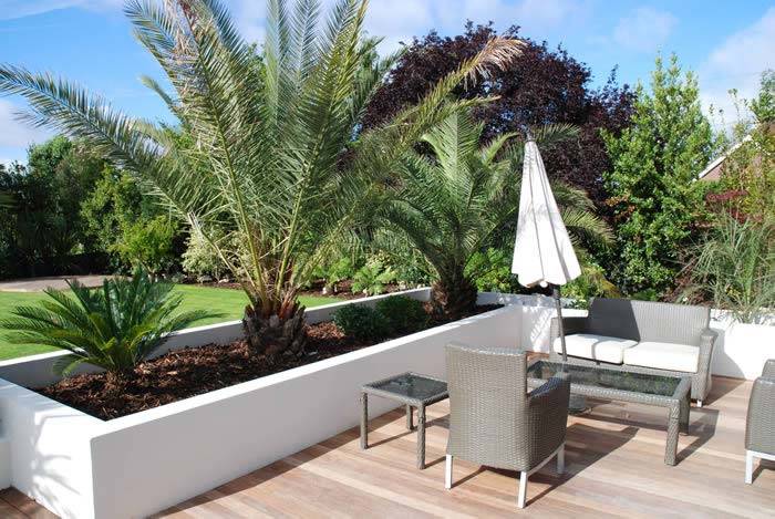 Contemporary Garden seating area using architectural plants to buy online UK