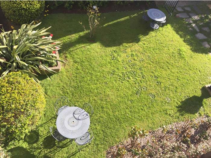 Enjoying your garden during hot weather, buy drought resistant plants UK