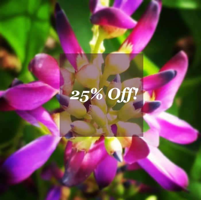 Gardening Offers UK