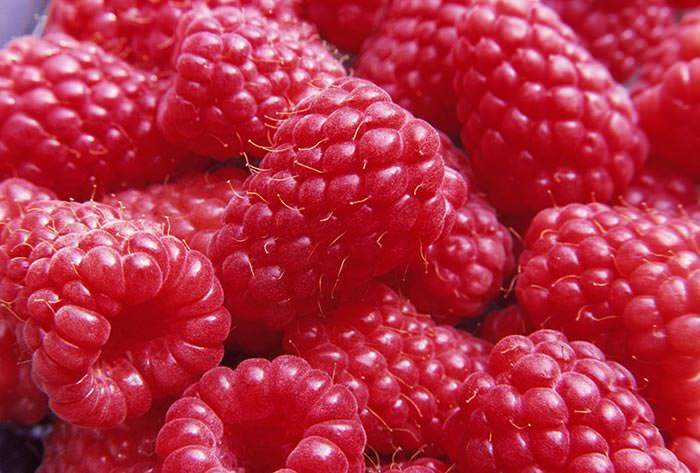 Raspberry can be used to make various preserves, although it is a favourite in jams.