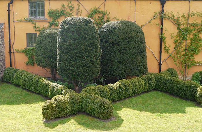 Structural value and high visual interest are just some of the features topiaries offer.