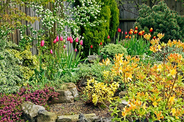 Planting tips for new plants in your garden. Mulching, feeding and watering your plants