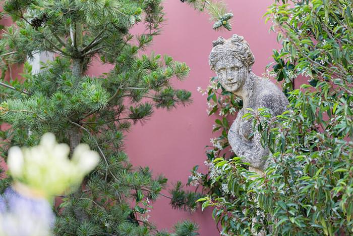 Evergreen conifers and climbers soften the stone statue in the Dream of The Indianos Garden