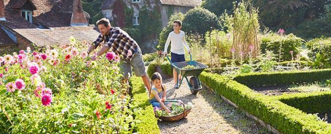 Family gardening