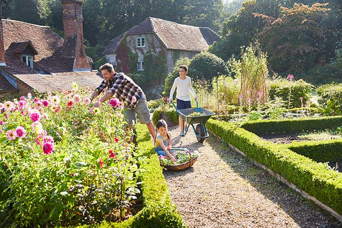 Family gardening