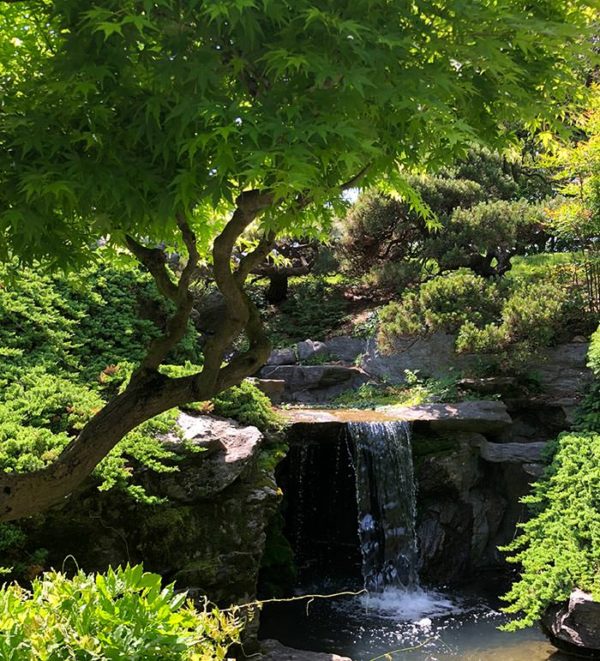 Japanese Water Garden with Koi carp filled ponds