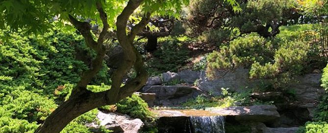 Japanese Water Garden Brooklyn Botanical Garden