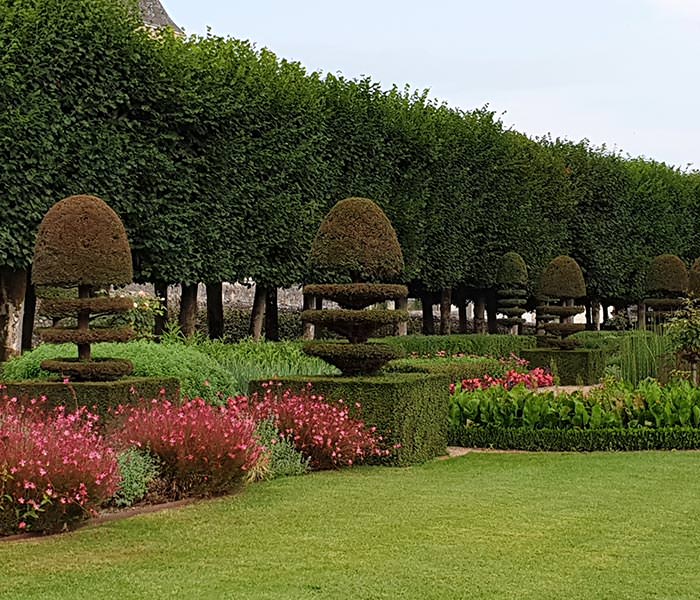 Gardens of Chateau Villandry The Herb Garden