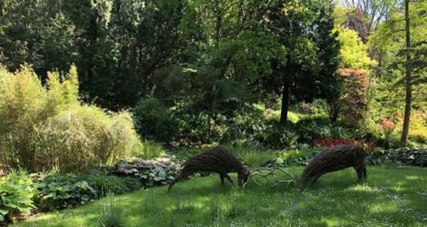 Willow deer sculptures in a copse at Abbotsbury Subtropical Garden