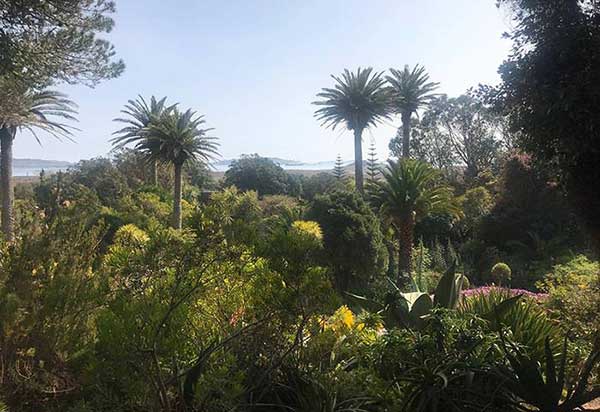 The Tropical Gardens of Tresco, Scilly Isles