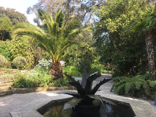 The Tropical Gardens of Tresco Abbey