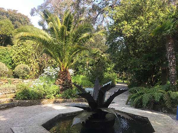 The Tropical Gardens of Tresco Abbey in The Isles of Scilly, UK