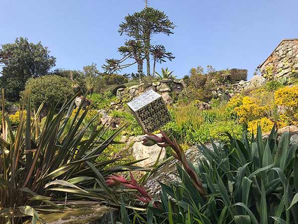 Tresco Abbey Gardens sculpture by Tom Leaper 