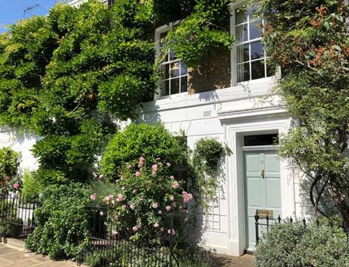 Front Garden Ideas And Why Front Gardens Matter