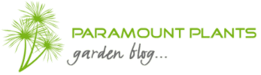 Paramount Plants Garden Blog