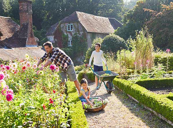 Preparing The Garden for Entertaining This Summer