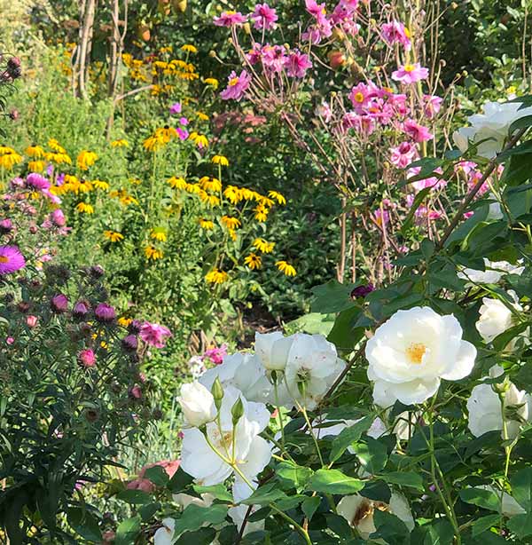  Flower Borders at Charleston