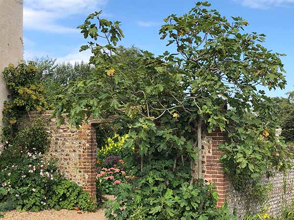 Inspiration At Charleston House and Gardens