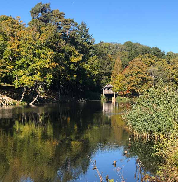 View of the Romantic Boat House at Winkworth Arboretum