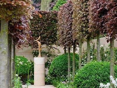 Plants for Hedging and Evergreen Screening, UK