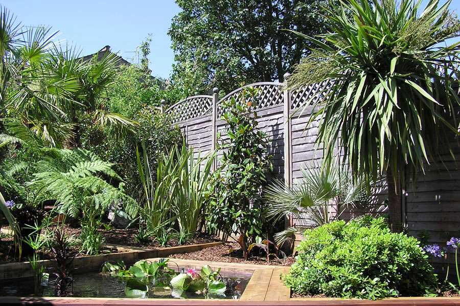 Garden Design Portfolio Of Paramount Plants Gardens Mediterranean Garden Design Project By Paramount Plants Gardens