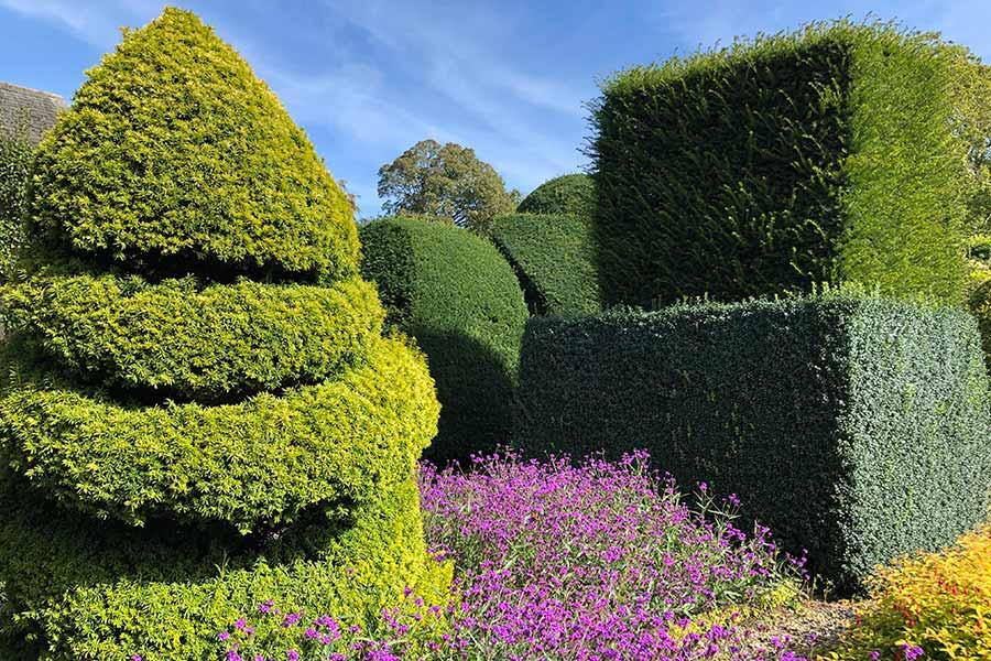 Garden Design Portfolio of Paramount Plants & Gardens