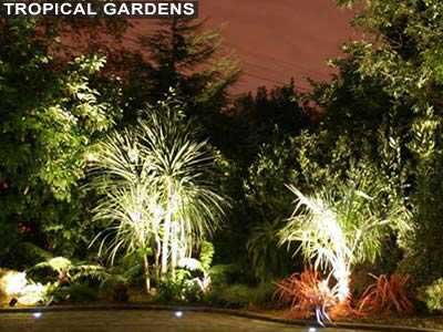 Tropical Gardens