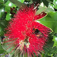 E-gift vouchers for sale online, UK delivery