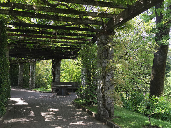  Climbing plants will soften a frame such as a Pergola