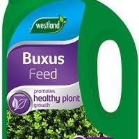 westland buxus feed