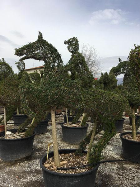 Horse jumping topiary - part of our equestrian topiary designs available to buy online with UK delivery.