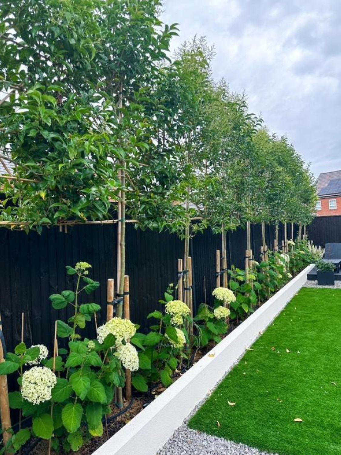 Modern Landscaping Trees Modern Elegance C O S Design