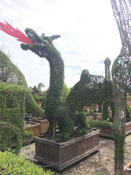 Large Dragon shaped topiary, part of our animal topiary collection. Make a statement with these huge topiary sculptures, buy online UK delivery.
