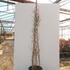 adwf 1.5-1.75 m buy online UK.