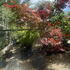 acerpa 1.8-2.1 m buy online UK.