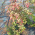 apbm 80-100 cm buy online UK.