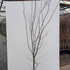 apre 1.75-2 m buy online UK.
