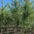 atg 3-3.5 m buy online UK.