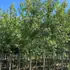 atg 3-3.5 m buy online UK.