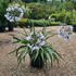 atw 30-40 cm buy online UK.
