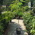 ajo 1.5-1.75 m buy online UK.