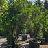 arun 3-3.5 m buy online UK.