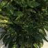 aucu 80-100 cm buy online UK.